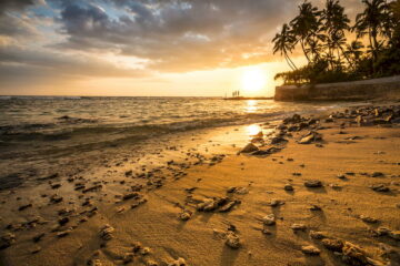 Sonnenuntergang am Strand in Sri Lanka