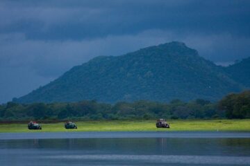 Drei Jeeps auf einer Safari-Rundreise in der Natur in Sri Lanka