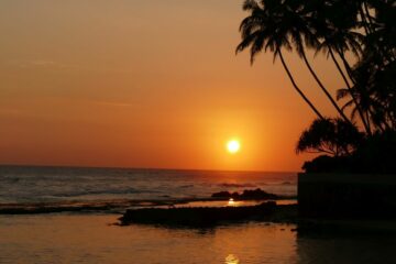 Sonnenuntergang am Meer mit Palmen und Strand in Sri Lanka.