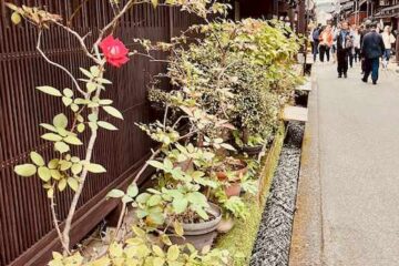 Achtsame Japan-Rundreise in einer netten Kleingruppe – Bild 34